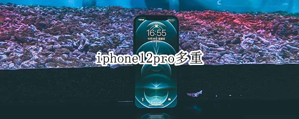 iphone12pro多重 iPhone12pro多重