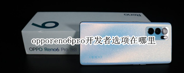 opporeno6pro开发者选项在哪里（opporeno6pro怎么打开开发者选项）