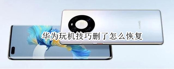 华为玩机技巧删了怎么恢复（华为玩机技巧删了怎么恢复不了）