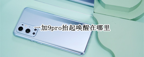 一加9pro抬起唤醒在哪里 一加9pro抬起唤醒在哪里关