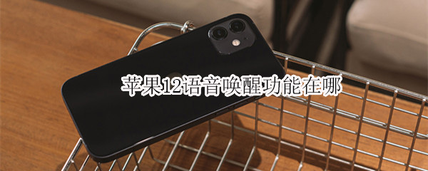 苹果12语音唤醒功能在哪（苹果12语音唤醒功能在哪设置）
