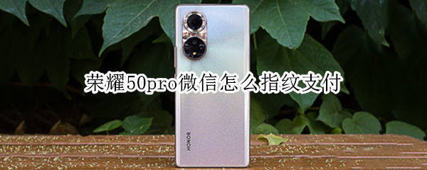 荣耀50pro微信怎么指纹支付 华为荣耀30pro微信指纹支付怎么设置