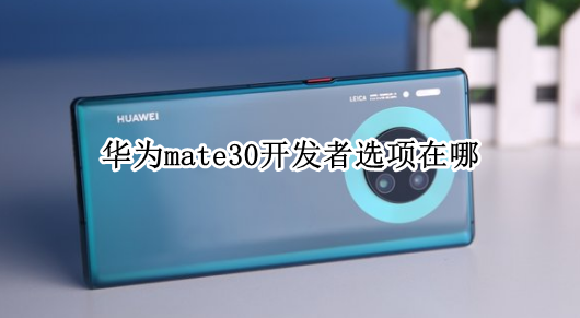 华为mate30开发者选项在哪 华为mate30开发者选项在哪里