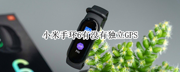 小米手环6有没有独立GPS（小米6手环带gps吗）