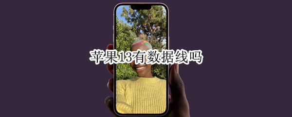 苹果13有数据线吗 苹果13有数据线吗多少钱