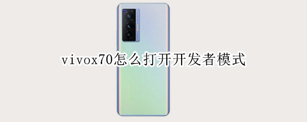 vivox70怎么打开开发者模式 vivox27怎么打开开发者模式