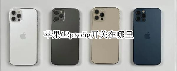 苹果12pro5g开关在哪里（iphone12pro5g开关在哪里）