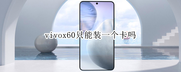 vivox60只能装一个卡吗（vivox60只能安一个卡吗）