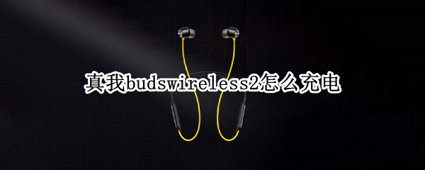 真我budswireless2怎么充电（真我budswirelesspro说明书）