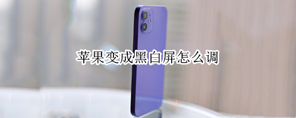 苹果变成黑白屏怎么调（苹果变成黑白屏怎么调回彩屏）