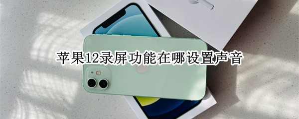 苹果12录屏功能在哪设置声音 苹果12录屏功能在哪设置声音大
