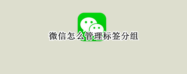 微信怎么管理标签分组（微信怎么编辑分组标签）