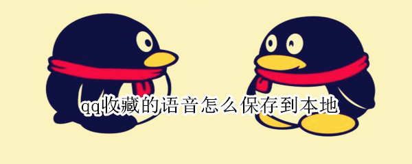 qq收藏的语音怎么保存到本地 qq语音怎么保存成音频文件