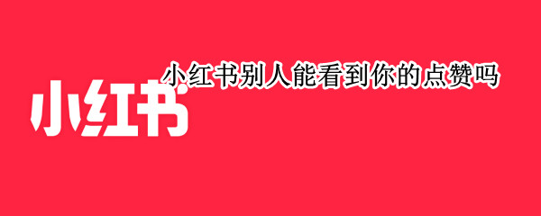 小红书别人能看到你的点赞吗（小红书能看见别人的点赞吗）