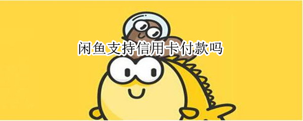 闲鱼支持信用卡付款吗 闲鱼能分期付款吗