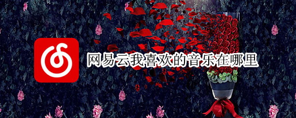 网易云我喜欢的音乐在哪里 网易云我喜欢的音乐在哪里找