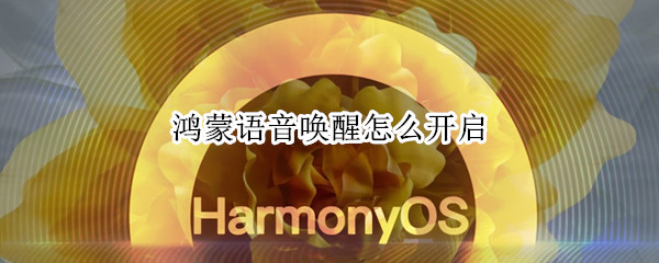 鸿蒙语音唤醒怎么开启（鸿蒙系统怎么语音唤醒）