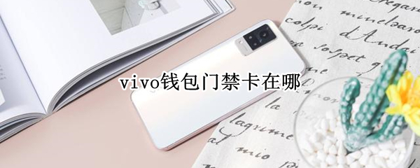 vivo钱包门禁卡在哪 vivo钱包门禁卡在哪儿