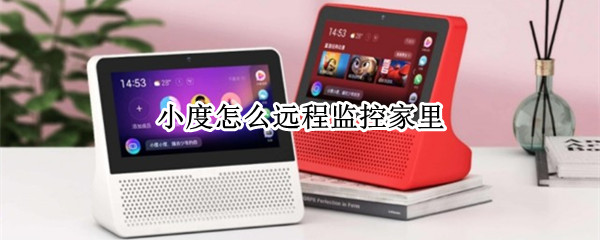小度怎么远程监控家里（小度怎么远程监控家里 家里这边有提醒吗）