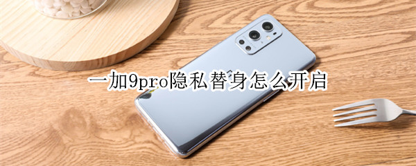 一加9pro隐私替身怎么开启（一加9r隐私空间在哪）