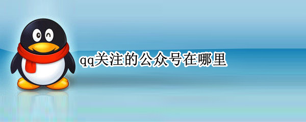 qq关注的公众号在哪里（qq关注的公众号在哪里查看）