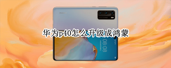 华为p40怎么升级成鸿蒙 华为p40怎么升级鸿蒙3.0