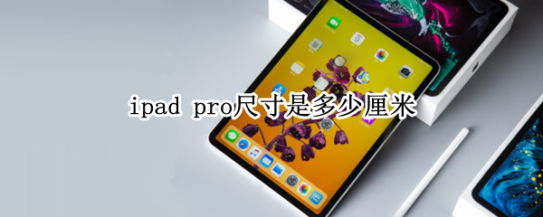 ipad pro尺寸是多少厘米