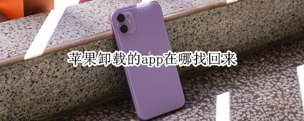 苹果卸载的app在哪找回来（苹果卸载的app在哪找回来不在商店）