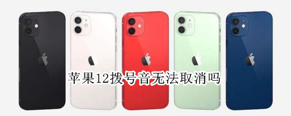 苹果12拨号音无法取消吗 iphone12电话拨号音怎么取消