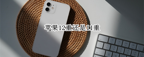 苹果12重还是11重（苹果11跟12那个重）