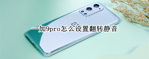 一加9pro怎么设置翻转静音（一加9pro怎么设置翻转静音）