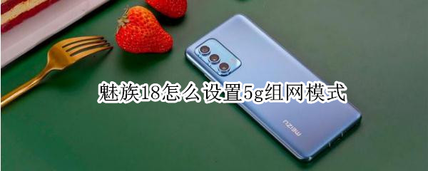 魅族18怎么设置5g组网模式 魅族18pro怎么开5g