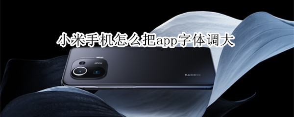 小米手机怎么把app字体调大（小米手机怎么把app字体调大一点）