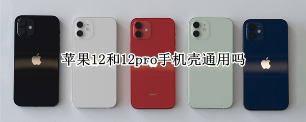 苹果12和12pro手机壳通用吗 苹果12和12pro手机壳通用吗?