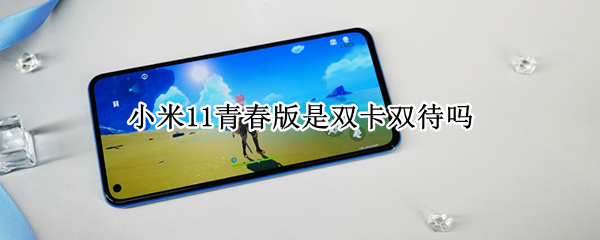 小米11青春版是双卡双待吗（小米11第二个卡槽在哪里）