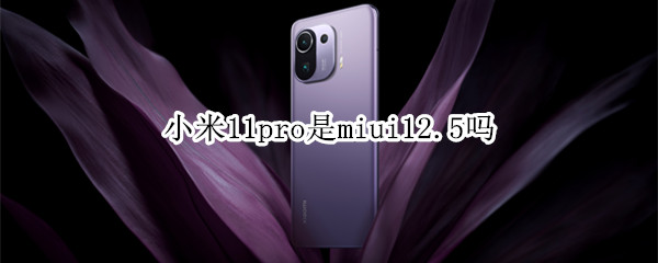 小米11pro是miui12.5吗（小米11pro是5g手机吗?）