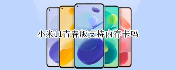 小米11青春版支持内存卡吗（小米11青春版支持tf卡吗）