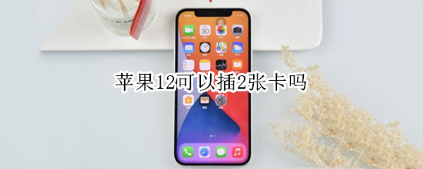 苹果12可以插2张卡吗（苹果12可以插2张卡吗?）