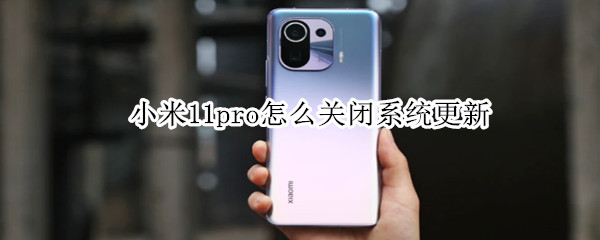 小米11pro怎么关闭系统更新（小米11pro怎么关闭系统更新通知）