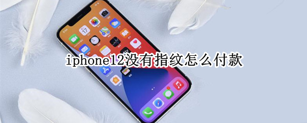 iphone12没有指纹怎么付款（苹果12没有指纹怎么付款）