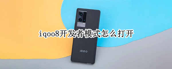 iqoo8开发者模式怎么打开（iQOO8开发者模式）