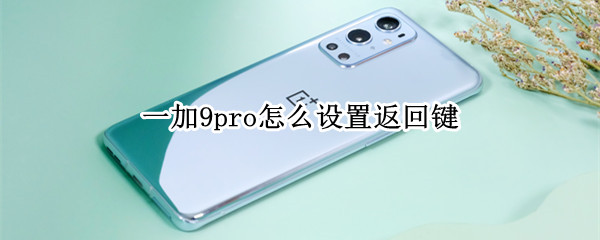 一加9pro怎么设置返回键（一加9手机怎么设置返回键）