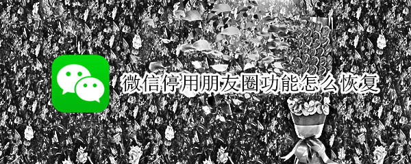 微信停用朋友圈功能怎么恢复 微信停用朋友圈功能怎么恢复聊天记录