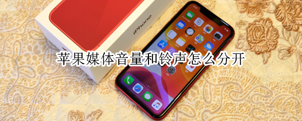 苹果媒体音量和铃声怎么分开（苹果媒体音量和铃声怎么分开使用）
