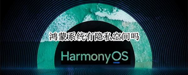 鸿蒙系统有隐私空间吗