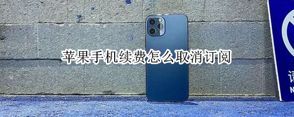 苹果手机续费怎么取消订阅 苹果手机续费怎么取消订阅服务
