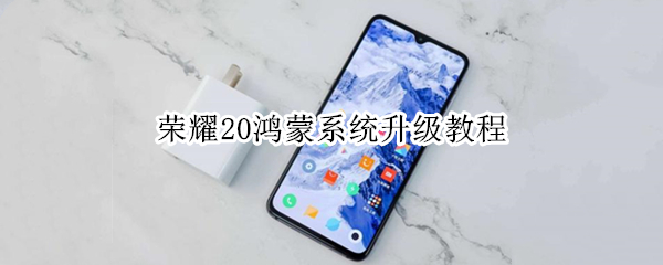 荣耀20鸿蒙系统升级教程 荣耀20怎么升级鸿蒙系统教程