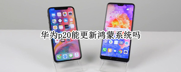 华为p20能更新鸿蒙系统吗 华为p20能更新鸿蒙系统吗?