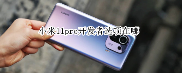 小米11pro开发者选项在哪 小米11pro开发者选项在哪里找