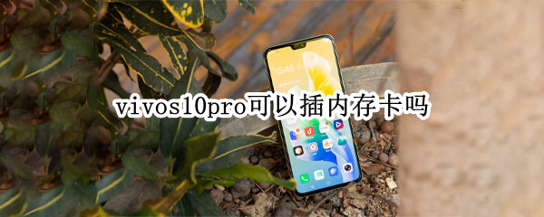 vivos10pro可以插内存卡吗（vivos10手机怎么装内存卡）